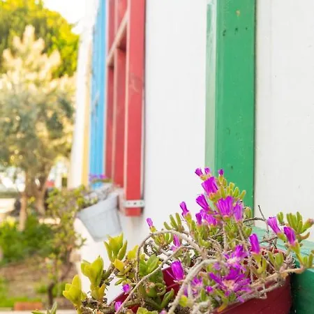 Huzur Ve Cay Bahcesi Homestay