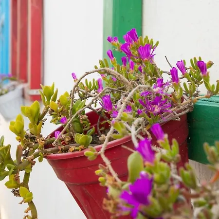 Huzur Ve Cay Bahcesi * Προύσα