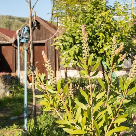 Δωμάτια σε οικογενειακή κατοικία Huzur Ve Cay Bahcesi *