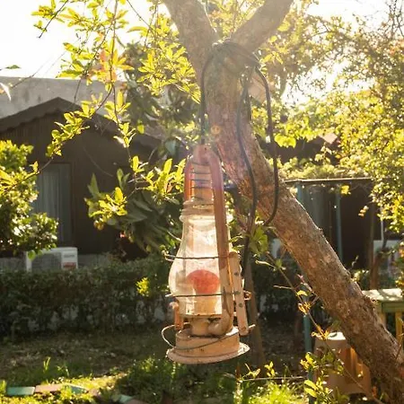 Huzur Ve Cay Bahcesi *