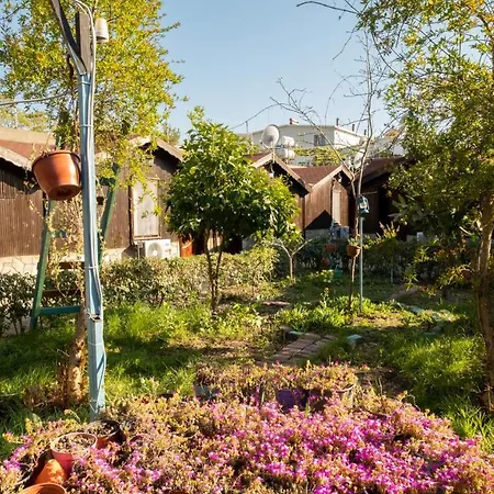 Alloggio in famiglia Huzur Ve Cay Bahcesi *