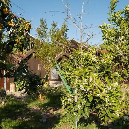 Huzur Ve Cay Bahcesi