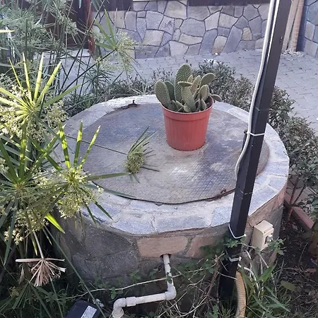 Huzur Ve Cay Bahcesi * Bursa